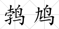 鵓鳩