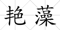 艷藻