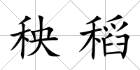 秧稻