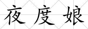 夜度娘