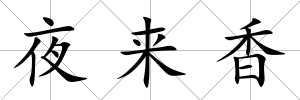夜來香