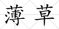 薄草