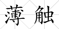 薄觸