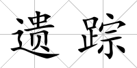 遺蹤