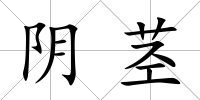 陰莖