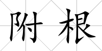 附根