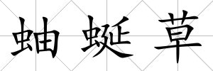 蚰蜒草