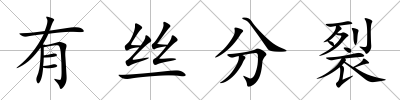 有絲分裂