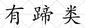 有蹄類