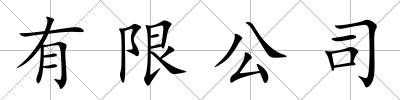 有限公司