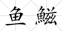 魚鰦