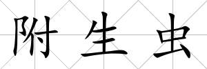 附生蟲