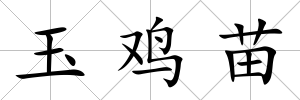 玉雞苗