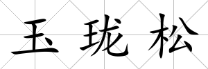 玉瓏松