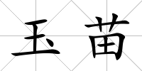 玉苗