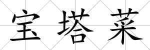 寶塔菜