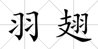 羽翅