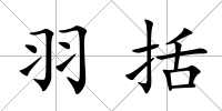 羽括