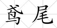 鳶尾