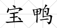 寶鴨