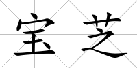 寶芝