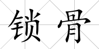 鎖骨