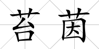 苔茵