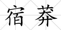 宿莽