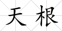 天根