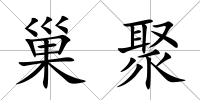 巢聚