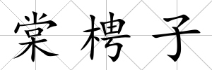 棠梬子