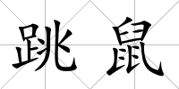 跳鼠