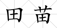 田苗
