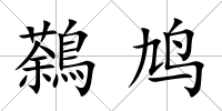 鷋鳩