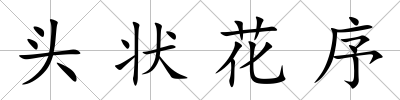 頭狀花序