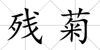 殘菊