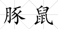 豚鼠
