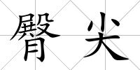 臀尖