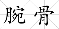 腕骨