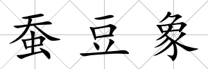 蠶豆象