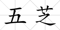 五芝