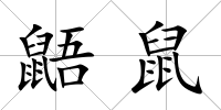 鼯鼠