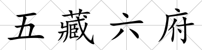 五藏六府