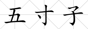 五寸子