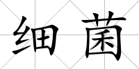 細菌