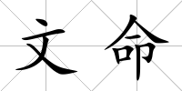 文命
