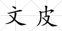 文皮