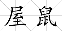 屋鼠