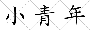 小青年