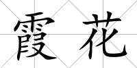 霞花